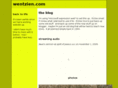 wentzien.com