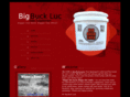 bigbucklick.com