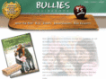 bulliesguidebook.com