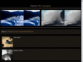 gauvinphoto.com
