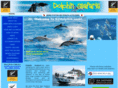 nzdolphin.com