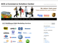 ace-search-engine-optimization.com