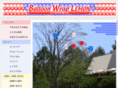 balloon-wrap.com