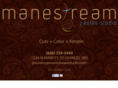 manestreamstudio.com
