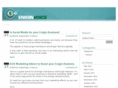 voiceofenigin.com
