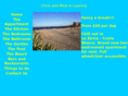 chrisandmickinlazenia.com