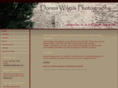 donnawilguspix.com
