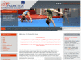 palmettogym.com
