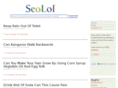 seolol.net