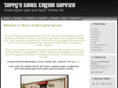 tseservice.com