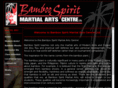 bamboospiritmartialarts.com