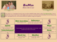 brimer.net