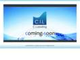 ci-leading.com