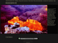dsummersphoto.net