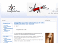 imaginfocom.com