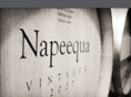 napeequa.com