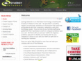 synergynetworks.net