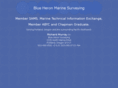 blueheronsurveying.com