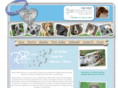 bonniebluerescue.com