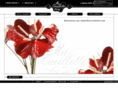 macueillette.com