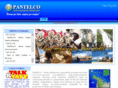 pantelco.net