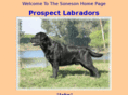 prospectlabradorretrievers.com