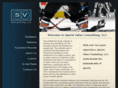 svc-llc.com