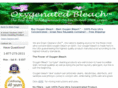oxygenatedbleach.com