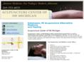 swmichiganacupuncture.com