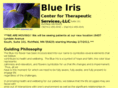 blueiristherapy.com
