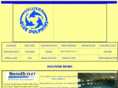 sullivanbluedolphins.com