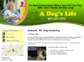 adogslifeendicott.com