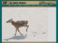 elsauzranch.com