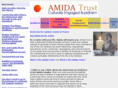 amidatrust.com