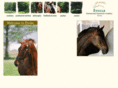 equestrian-education.com