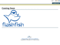 flashfish.com