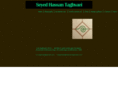 hassantaghvaei.com