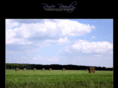 reneebeaudryphotography.com