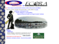 bostonoutrigger.com