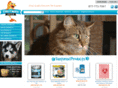 finsandmorepets.com