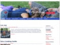 pfadfinder-maxglan.at
