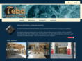 tebacompany.com