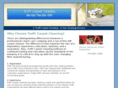 troffcarpetcleaning.com