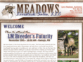 larrymeadows.com