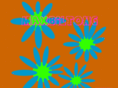 maxopti.com