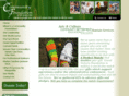 mycommunityfoundation.com
