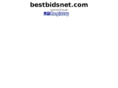 bestbidsnet.com