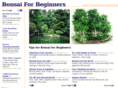 bonsaiforbeginners.org