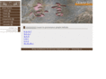 chinese-scripts.com