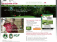 essentialsofgolf.com